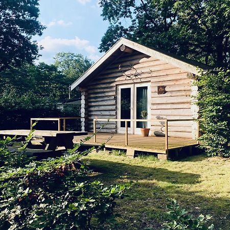 Knus Boomstamhuisje Op De Schatberg - Nabij Toverland Sevenum Eksteriør bilde